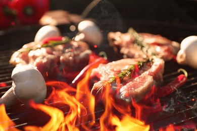 Photo of Cooking meat, chilli peppers and mushrooms on barbecue grill outdoors, closeup