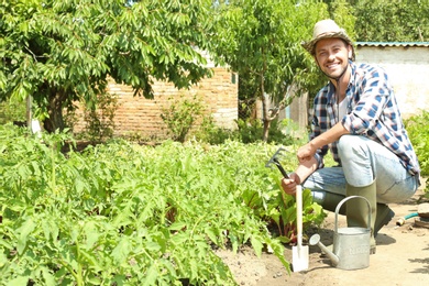 Man working in garden on sunny day