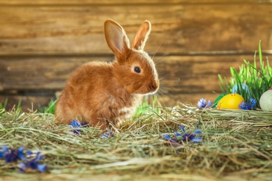 Adorable Easter bunny and dyed eggs on straw