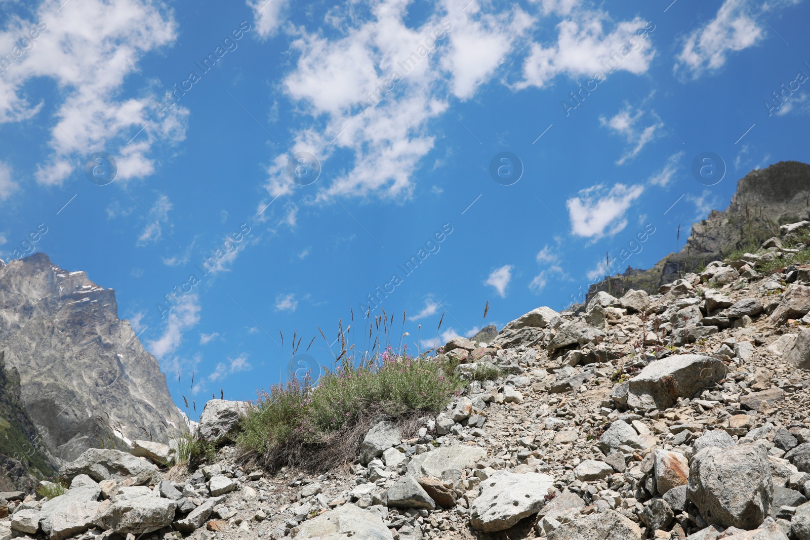 Photo of Picturesque view of beautiful rocky mountain landscape