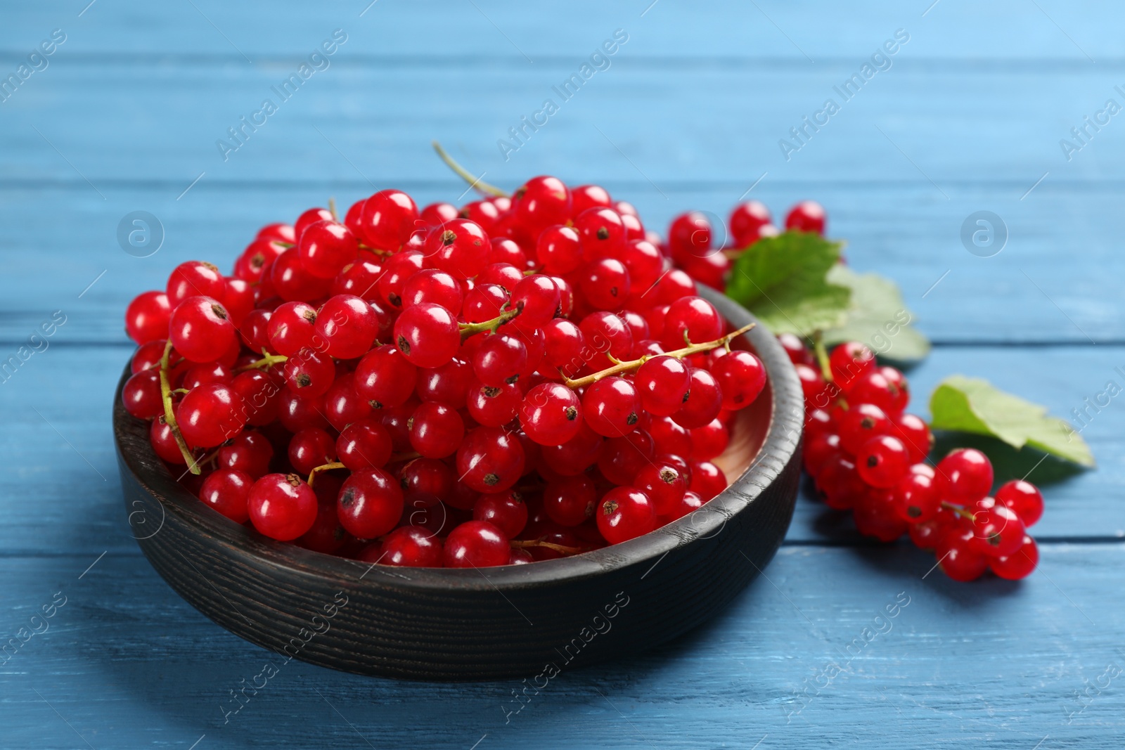 Photo of Delicious red currants on blue wooden table