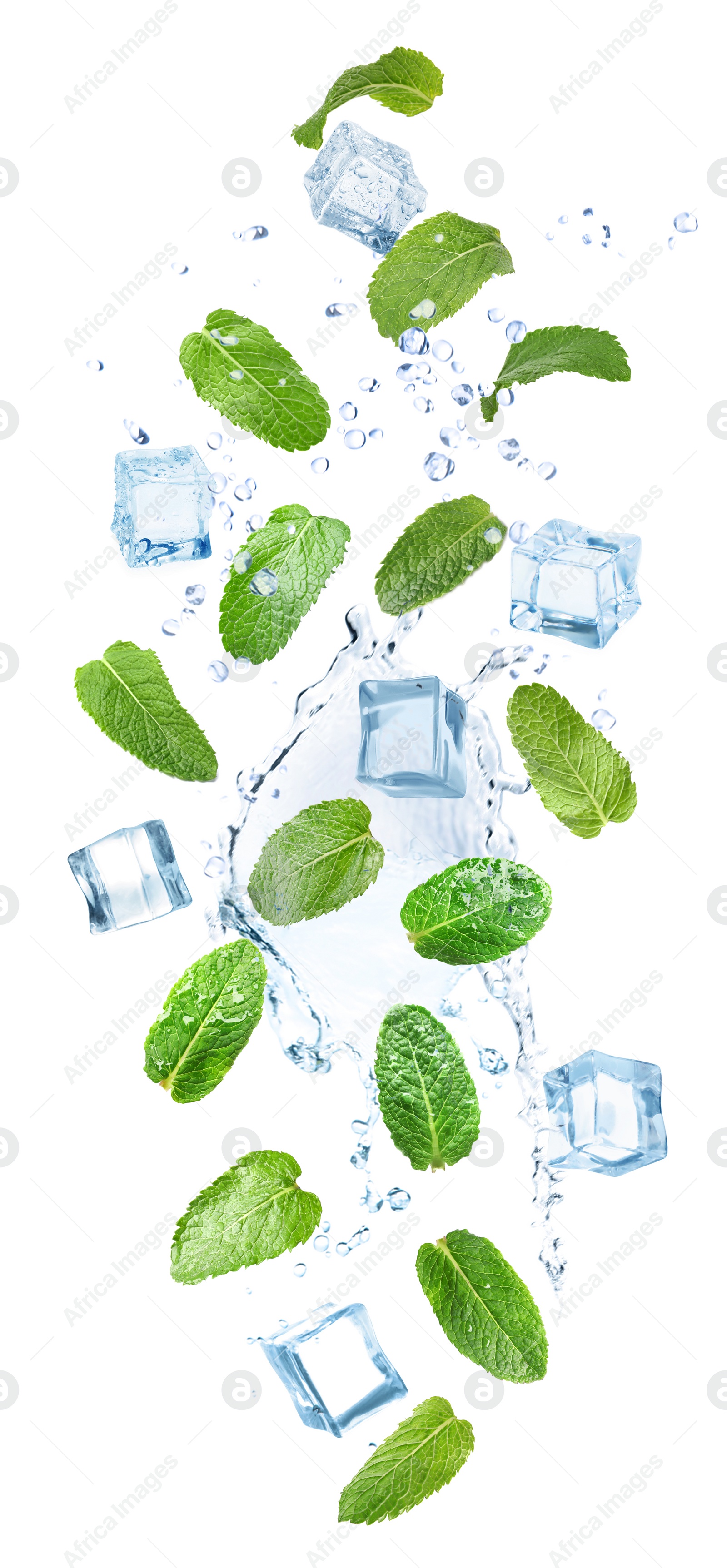 Image of Falling green mint leaves, crystal ice cubes and splash of water on white background