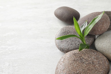 Photo of Spa stones with bamboo on grey background. Space for text