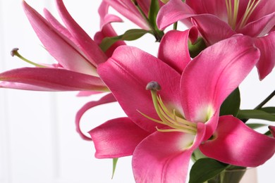 Photo of Beautiful pink lily flowers on white background, closeup