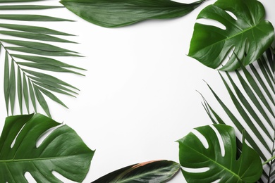 Flat lay composition with tropical leaves and space for text on white background