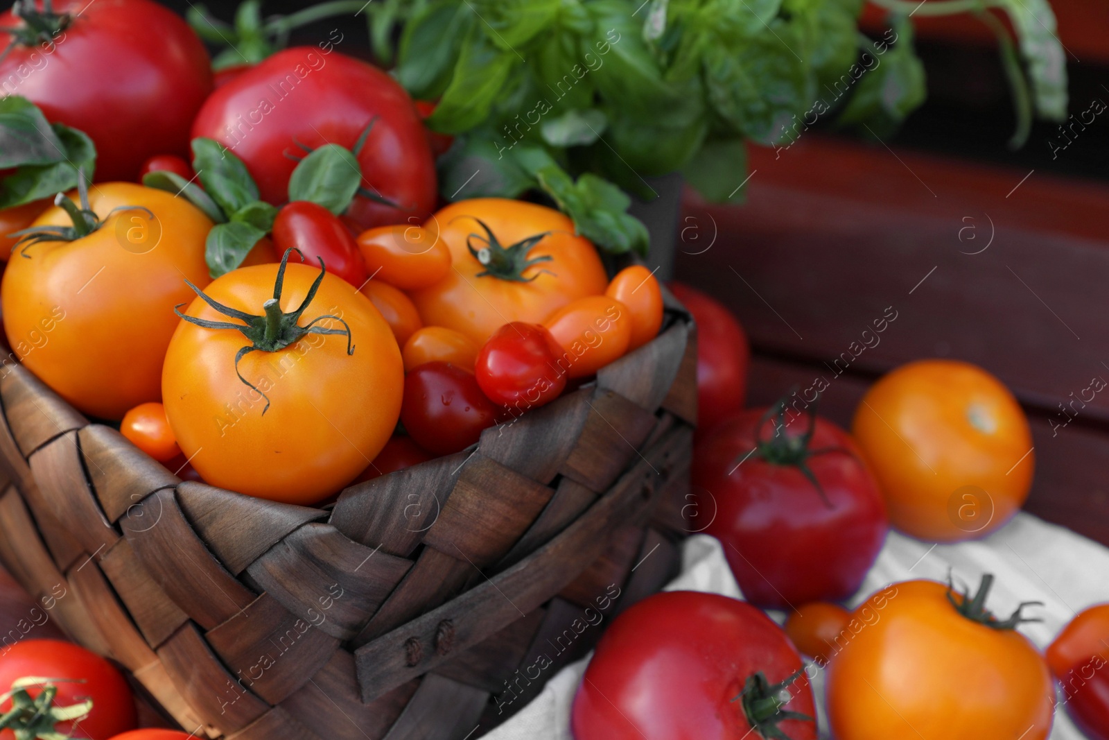 Photo of Different sorts of tomatoes on wooden bench