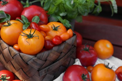 Different sorts of tomatoes on wooden bench