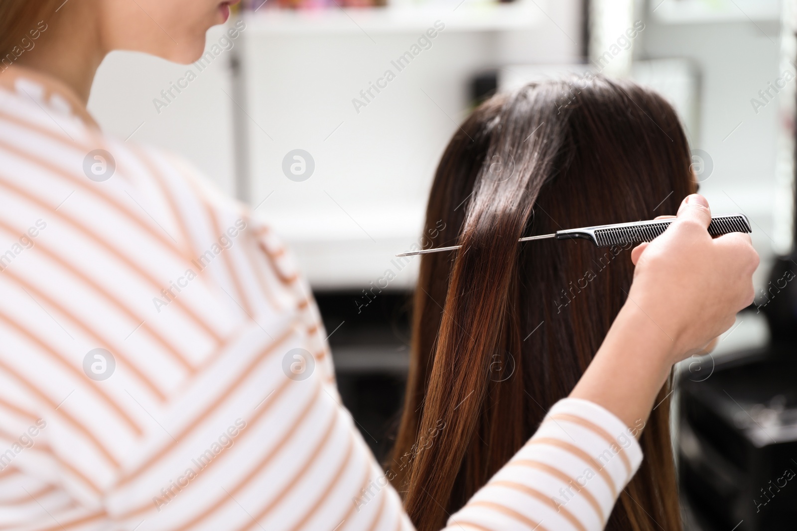 Photo of Professional hairdresser working with client in beauty salon, closeup