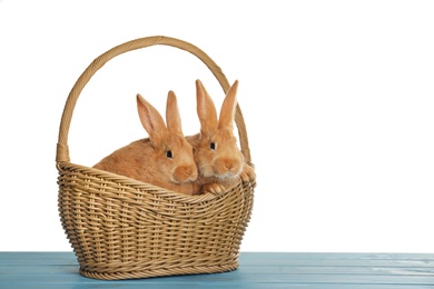 Cute fluffy bunnies in wicker basket on light blue wooden table, space for text. Easter symbol
