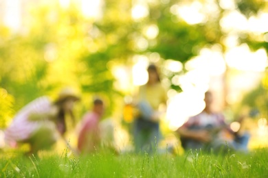 Blurred view of people having picnic in park