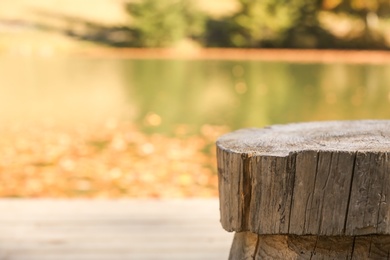 Rustic wooden stool near pond on sunny day