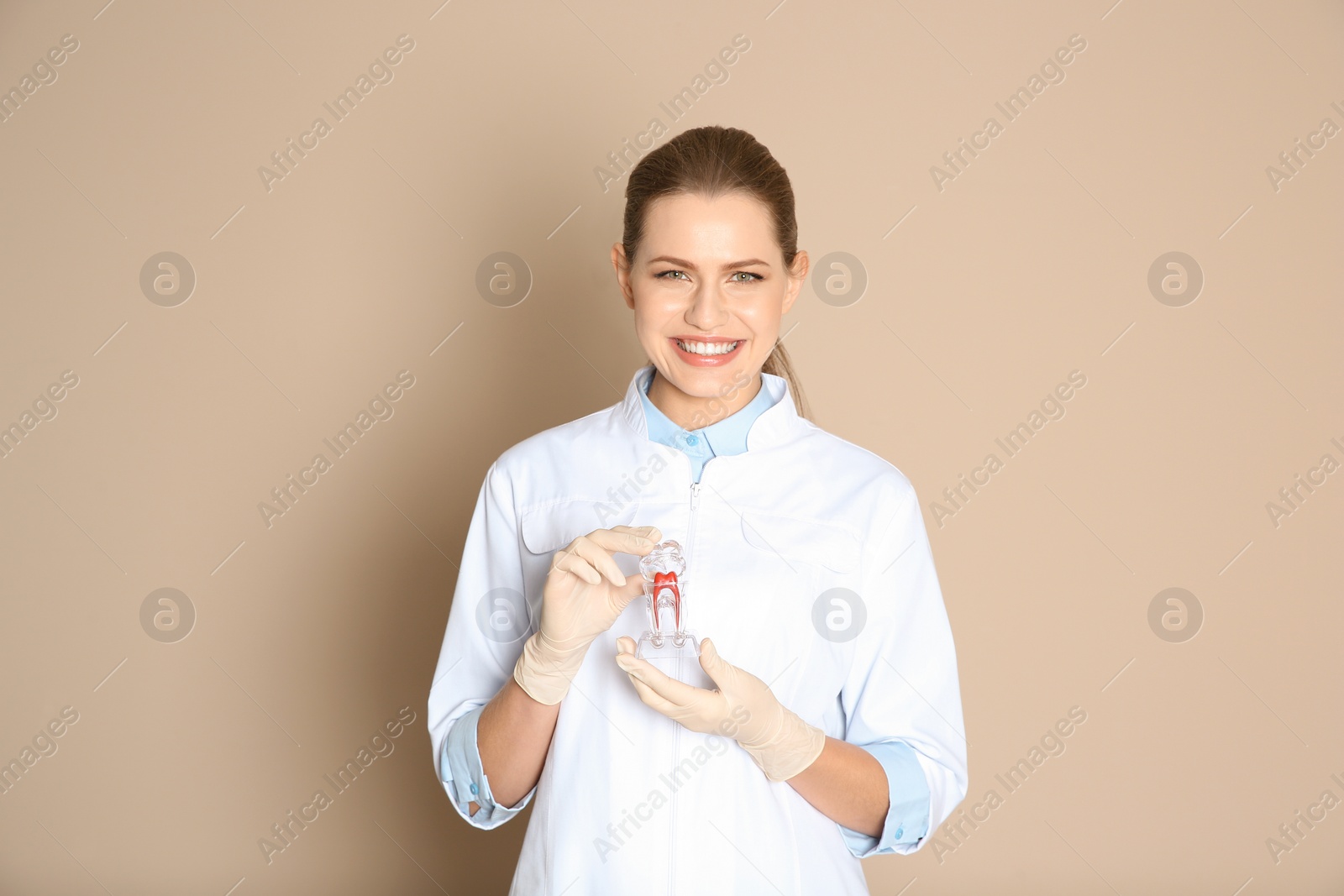 Photo of Female dentist holding tooth model on color background