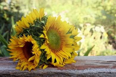 Beautiful sunflowers on wooden table outdoors. Space for text