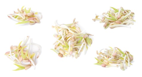 Image of Many mung bean sprouts on white background