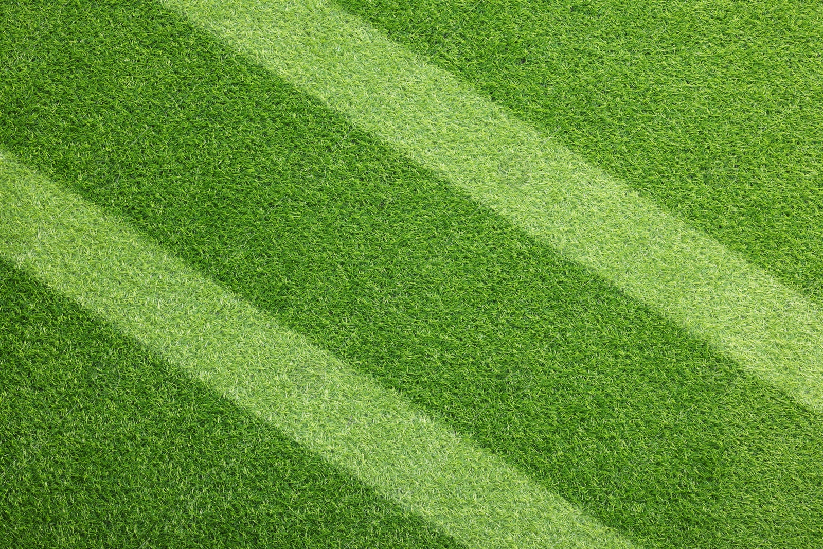Image of Green grass with white markings, top view