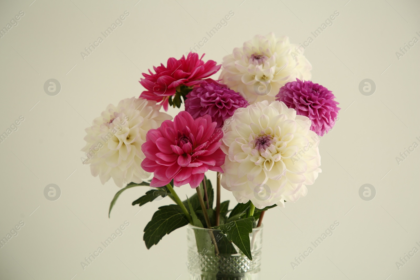 Photo of Bouquet of beautiful Dahlia flowers near white wall, closeup