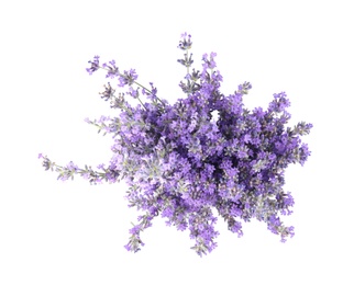 Photo of Beautiful tender lavender flowers on white background, top view