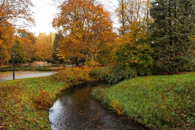 Photo of Beautiful park with yellowed trees and small river