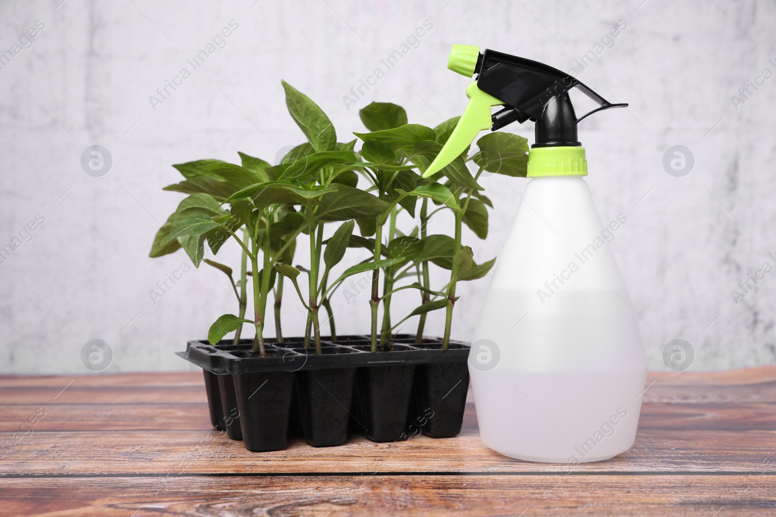 Photo of Seedlings growing in plastic container with soil and sprayer on wooden table. Gardening season