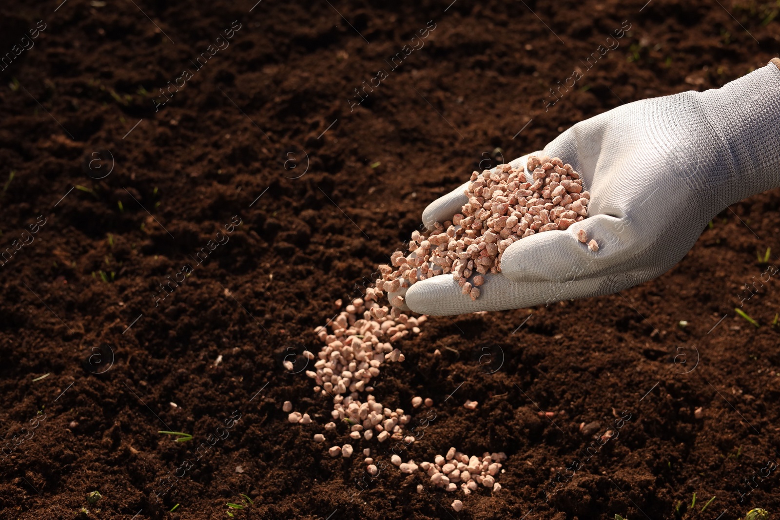 Photo of Man fertilizing soil, closeup. Space for text