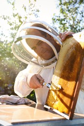 Photo of Senior beekeeper uncapping honeycomb frame with knife at table outdoors