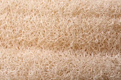 Loofah sponge as background, closeup. Personal hygiene product