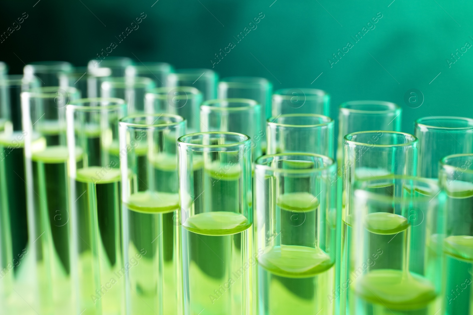 Photo of Closeup view of many test tubes with liquid, color tone effect