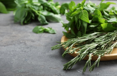 Photo of Plate with fresh green herbs on table, closeup