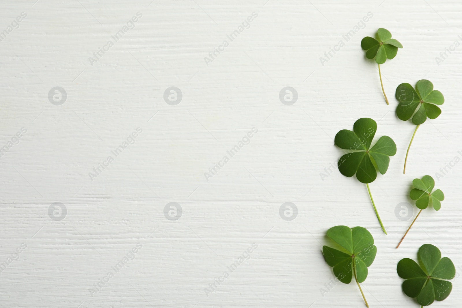 Photo of Clover leaves on white wooden table, flat lay with space for text. St. Patrick's Day symbol