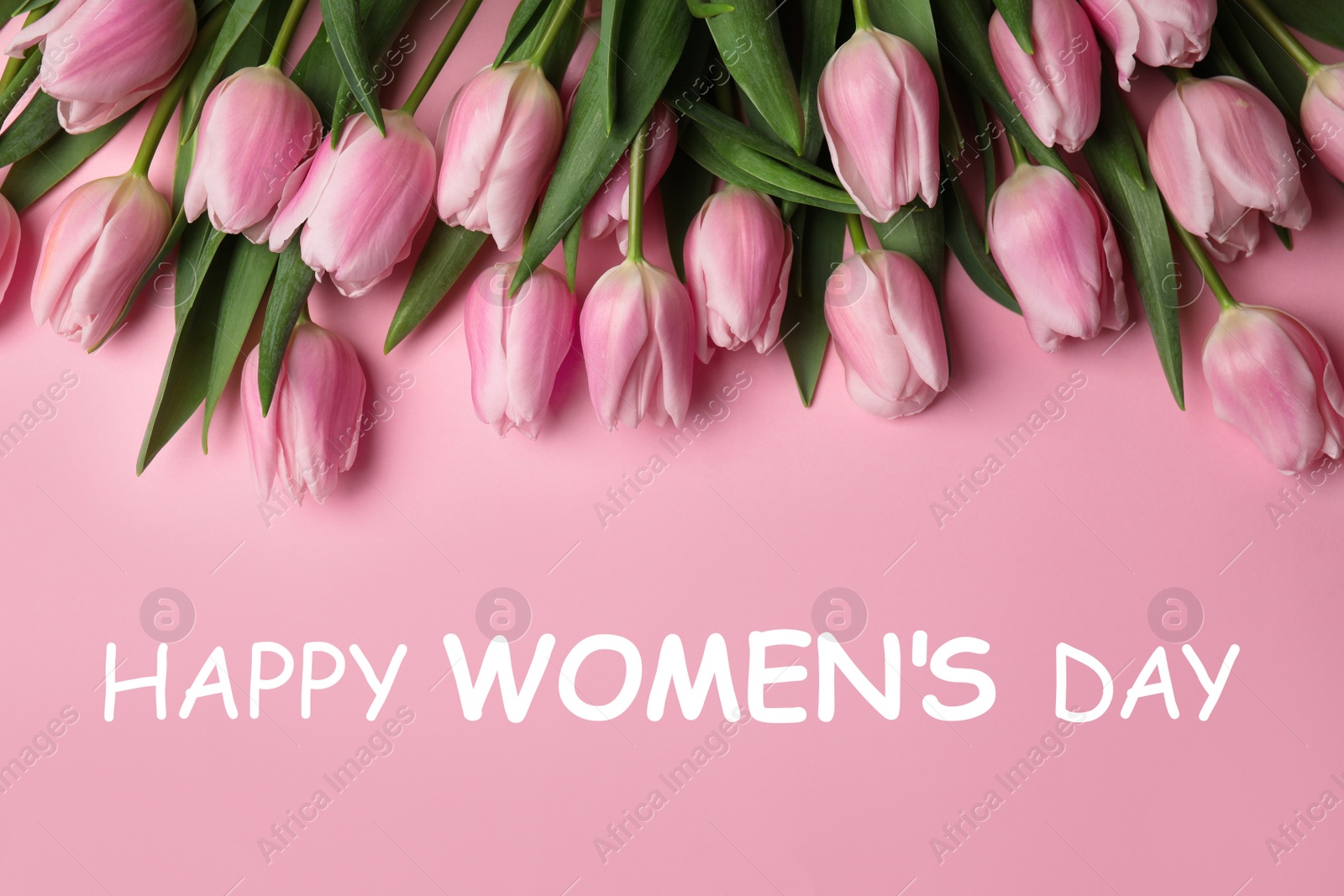 Image of Beautiful spring tulips on light pink background, flat lay. Happy Women's Day