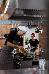 Professional chef cooking meat on stove in restaurant kitchen