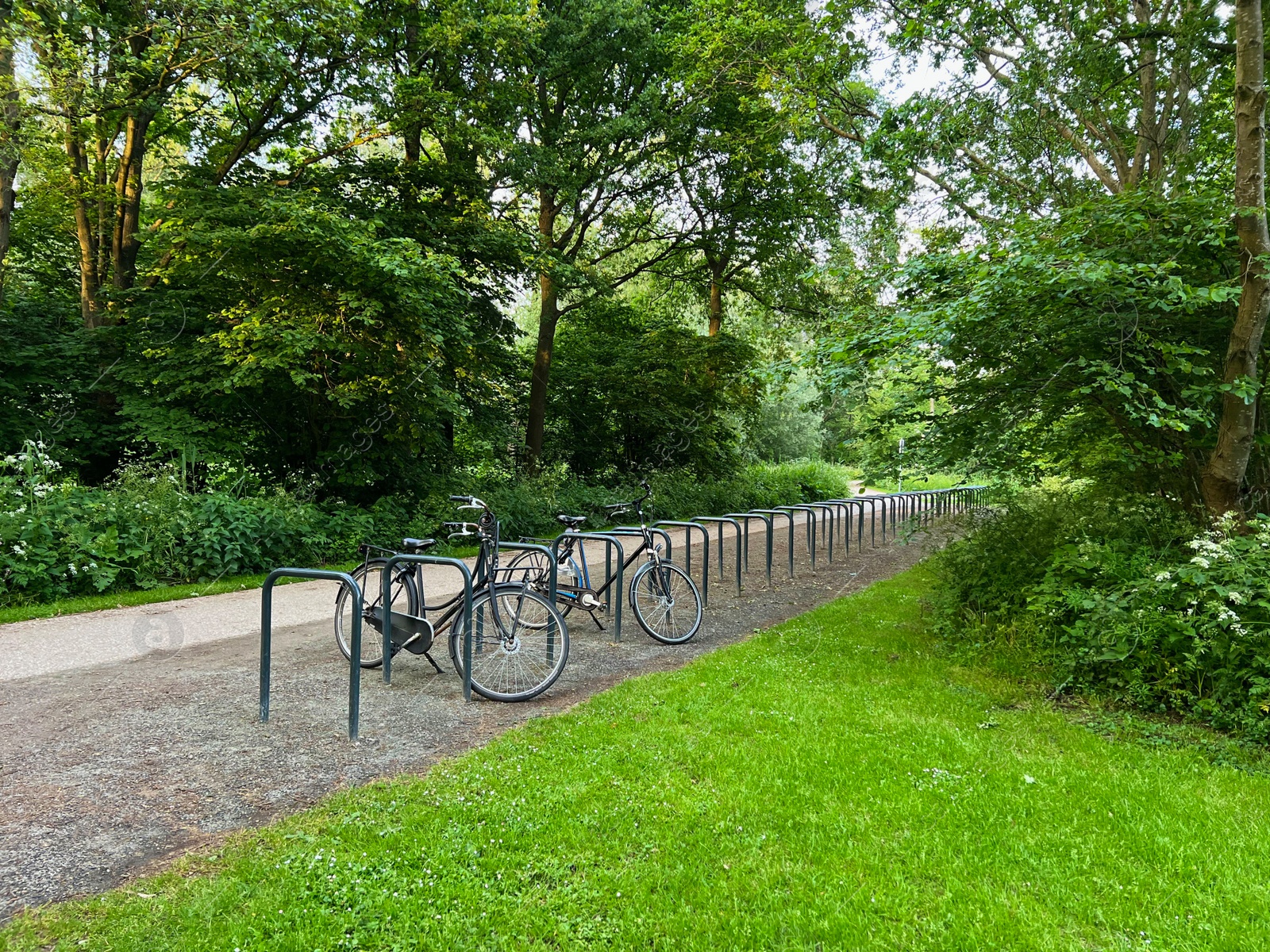 Photo of Parked bicycles near metal stands in green park