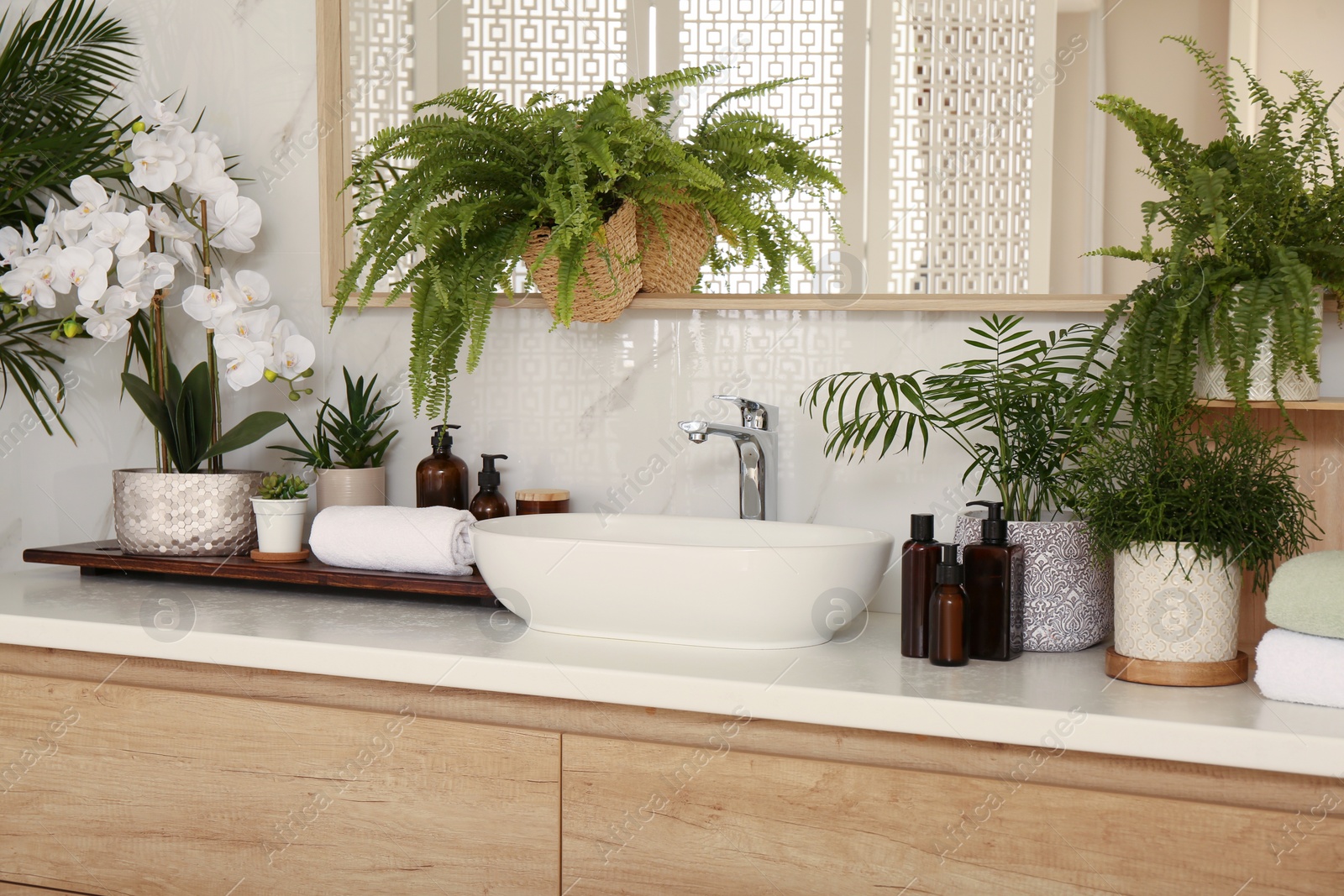 Photo of Counter with sink and many different houseplants near white marble wall