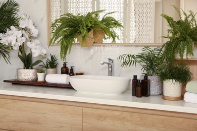 Photo of Counter with sink and many different houseplants near white marble wall