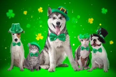 St. Patrick's day celebration. Cute dogs and cats with festive accessories on green background