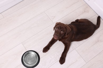 Photo of Cute chocolate Labrador Retriever puppy near feeding bowl on floor indoors, above view. Lovely pet