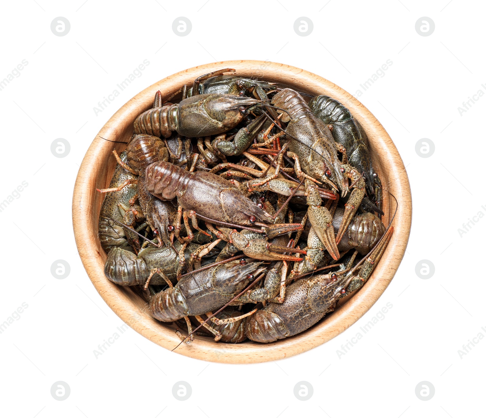 Photo of Bowl with fresh raw crayfishes isolated on white, top view. Healthy seafood