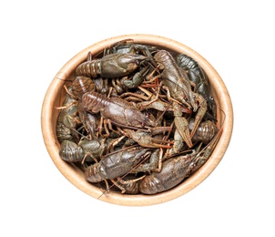 Photo of Bowl with fresh raw crayfishes isolated on white, top view. Healthy seafood