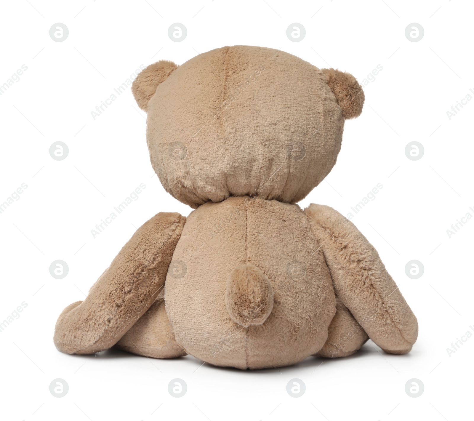 Photo of Cute teddy bear isolated on white, back view