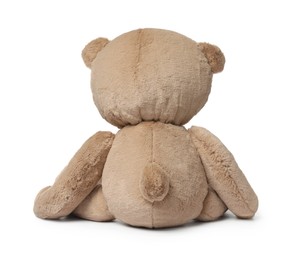 Cute teddy bear isolated on white, back view