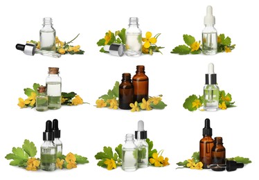 Set with celandine essential oil in bottles on white background 