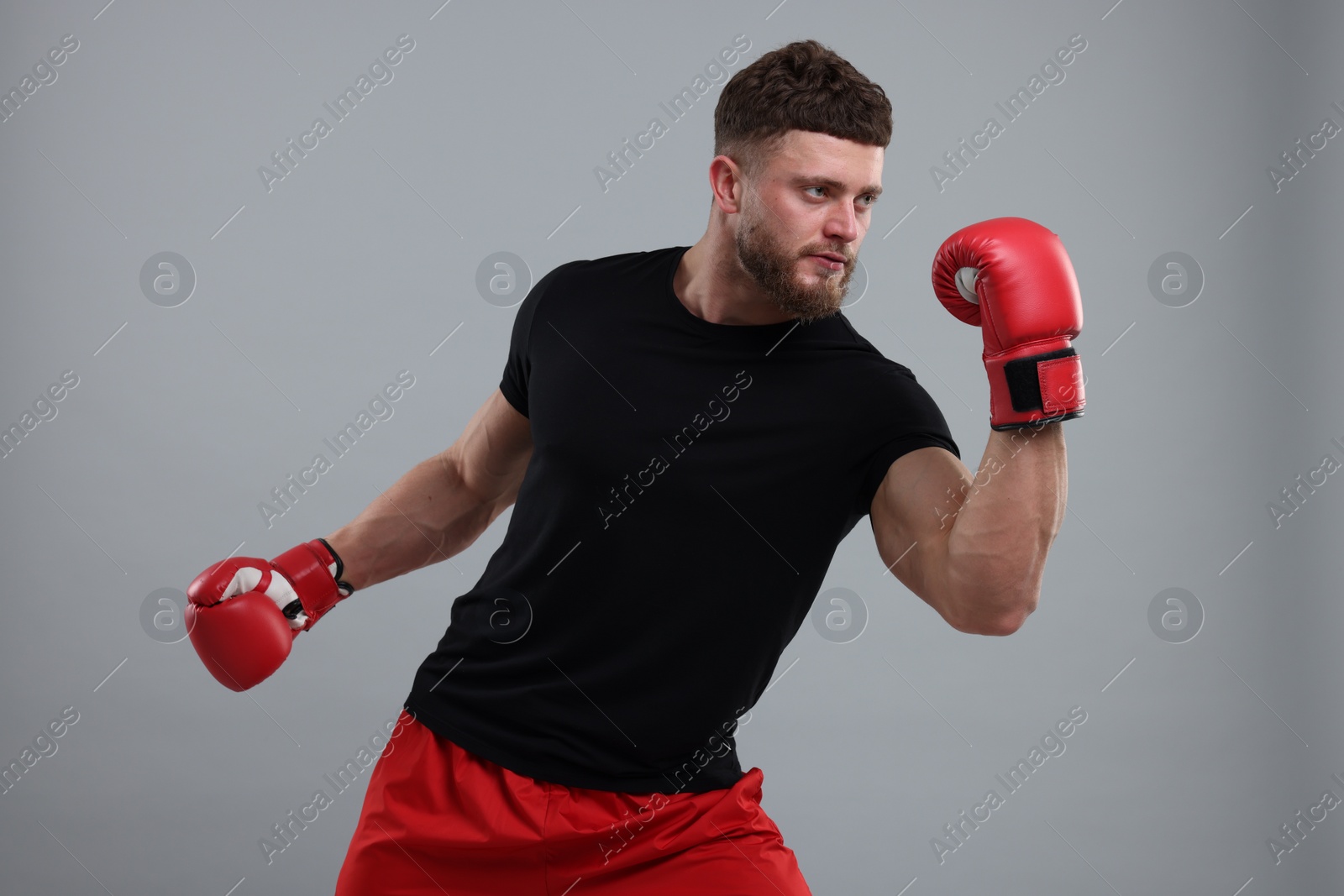 Photo of Man in boxing gloves fighting on grey background