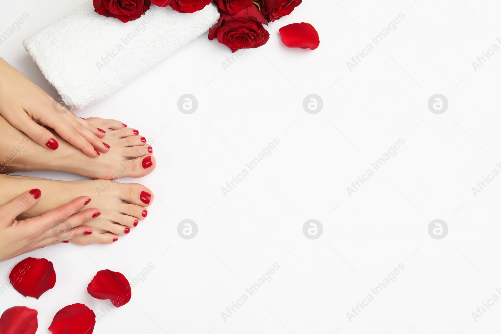 Photo of Woman with stylish red toenails after pedicure procedure and rose petals on white background, top view. Space for text