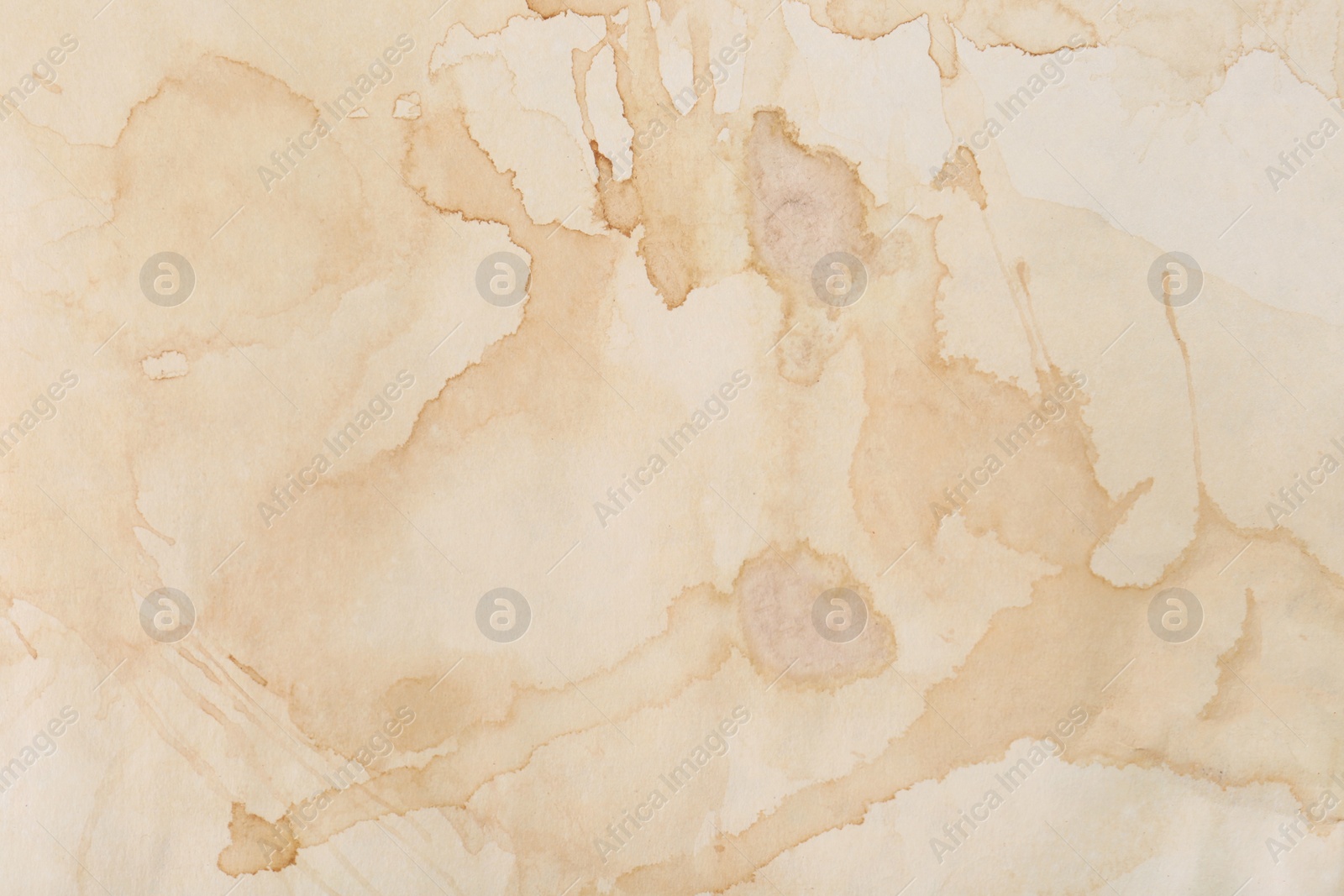 Photo of Sheet of parchment paper as background, top view