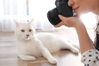 Photo of Professional animal photographer taking picturebeautiful white cat indoors, closeup