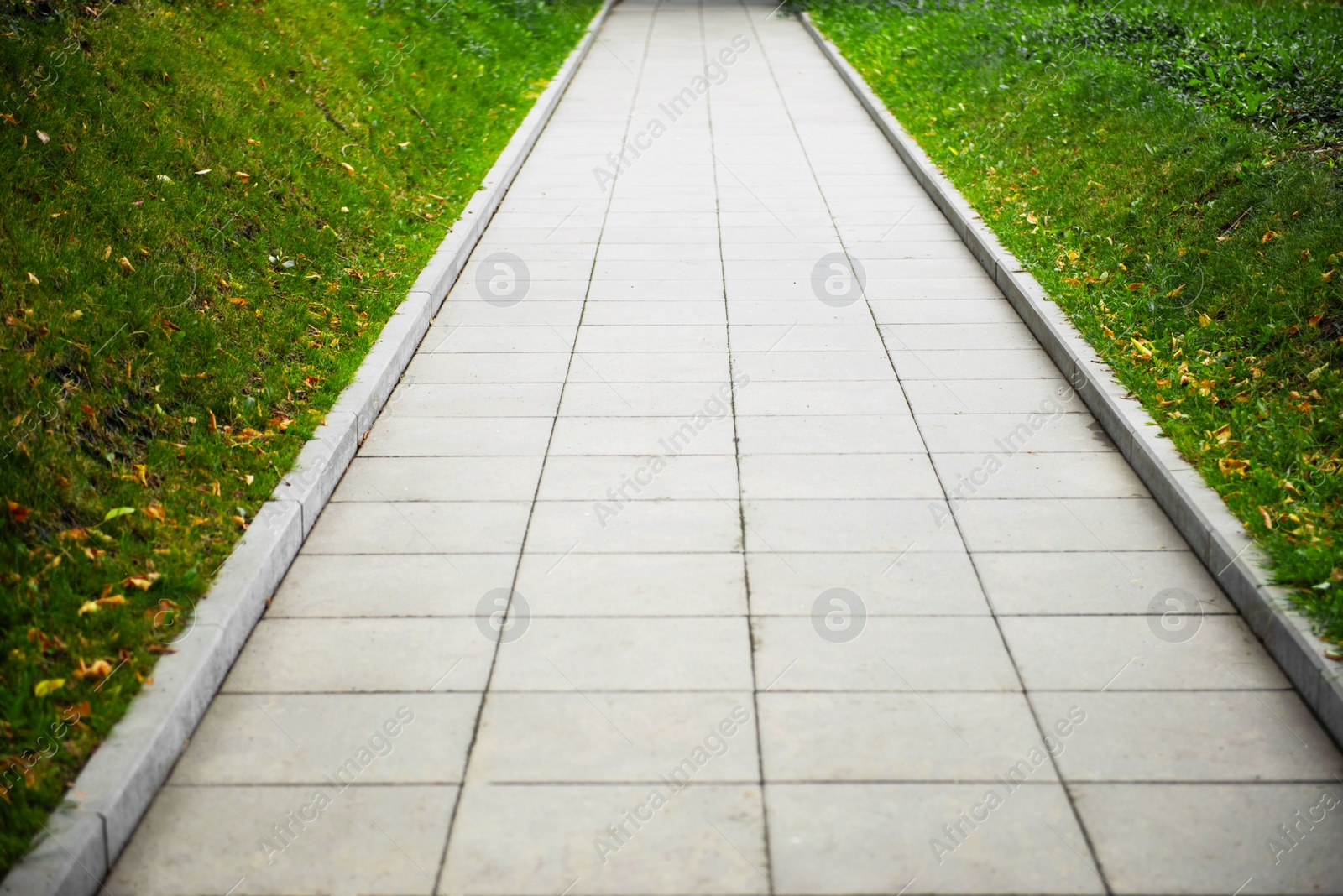 Photo of View of sidewalk path and fresh green grass on sunny day. Footpath covering