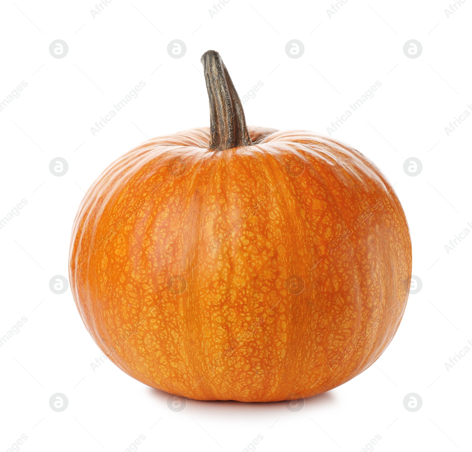 Photo of Fresh raw pumpkin isolated on white. Organic plant