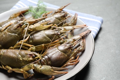 Fresh raw crayfishes on table, closeup view