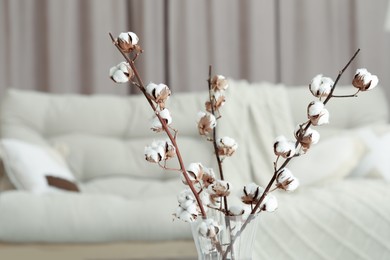Branches with white fluffy cotton flowers in cozy room