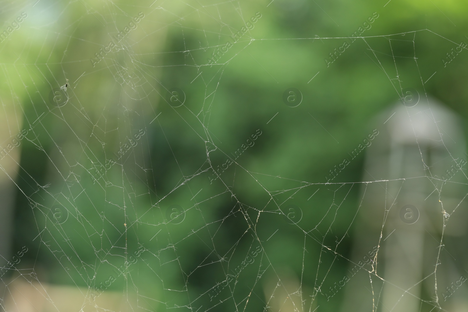 Photo of Old dusty cobweb on blurred background, closeup